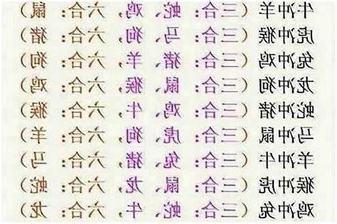 生肖 六合
